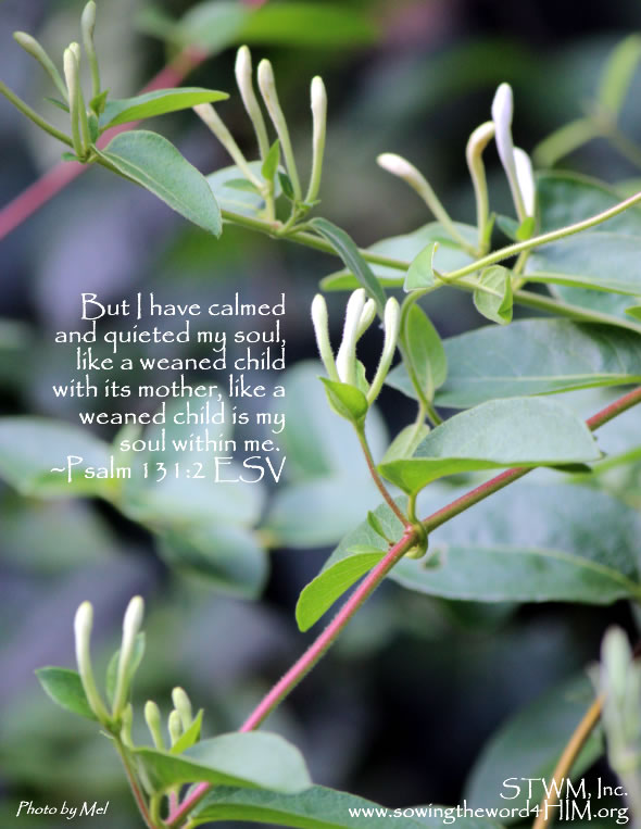 Patience_in_Him[1]